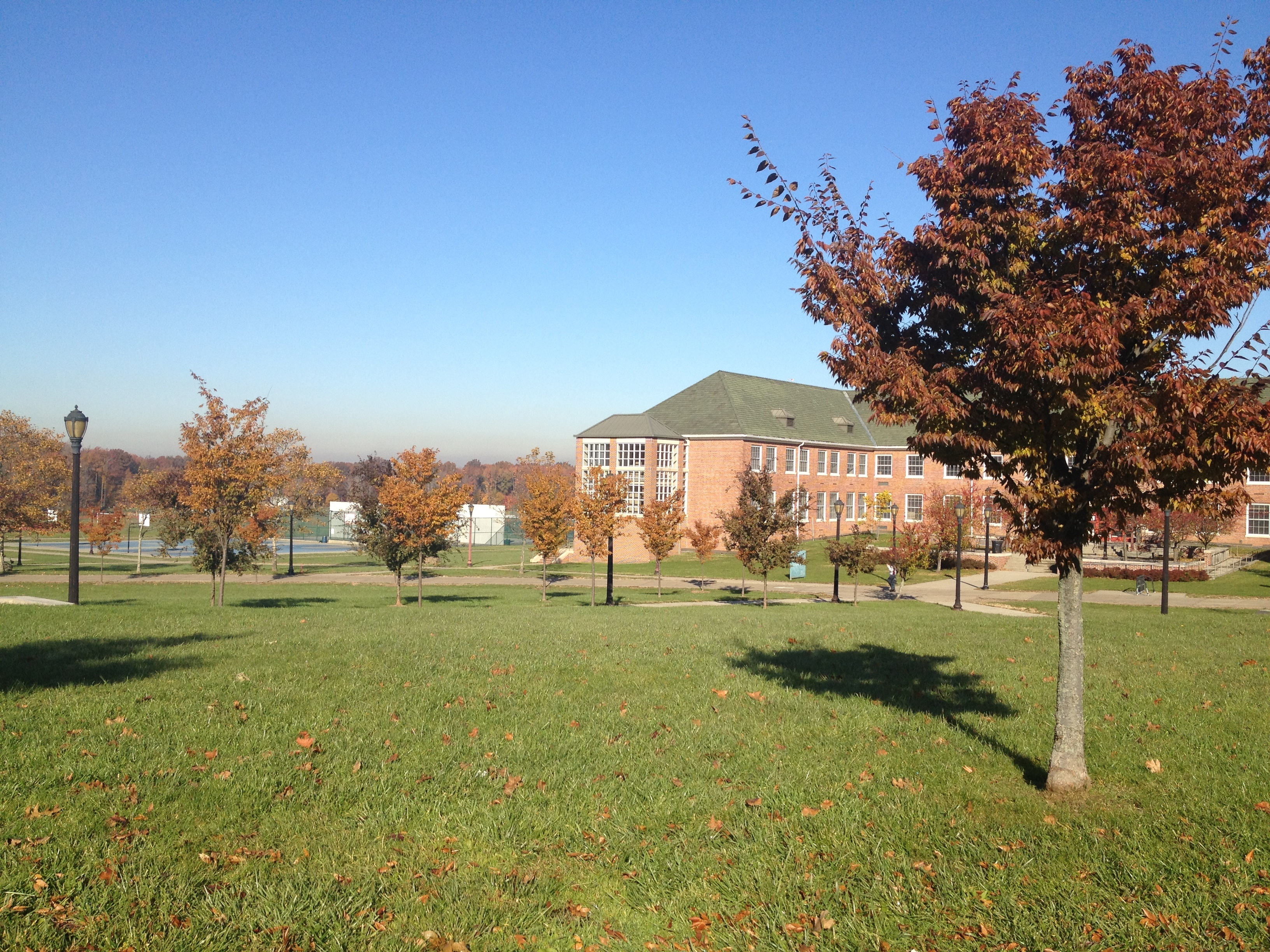 Live Streaming Spotlight: The College of Staten Island